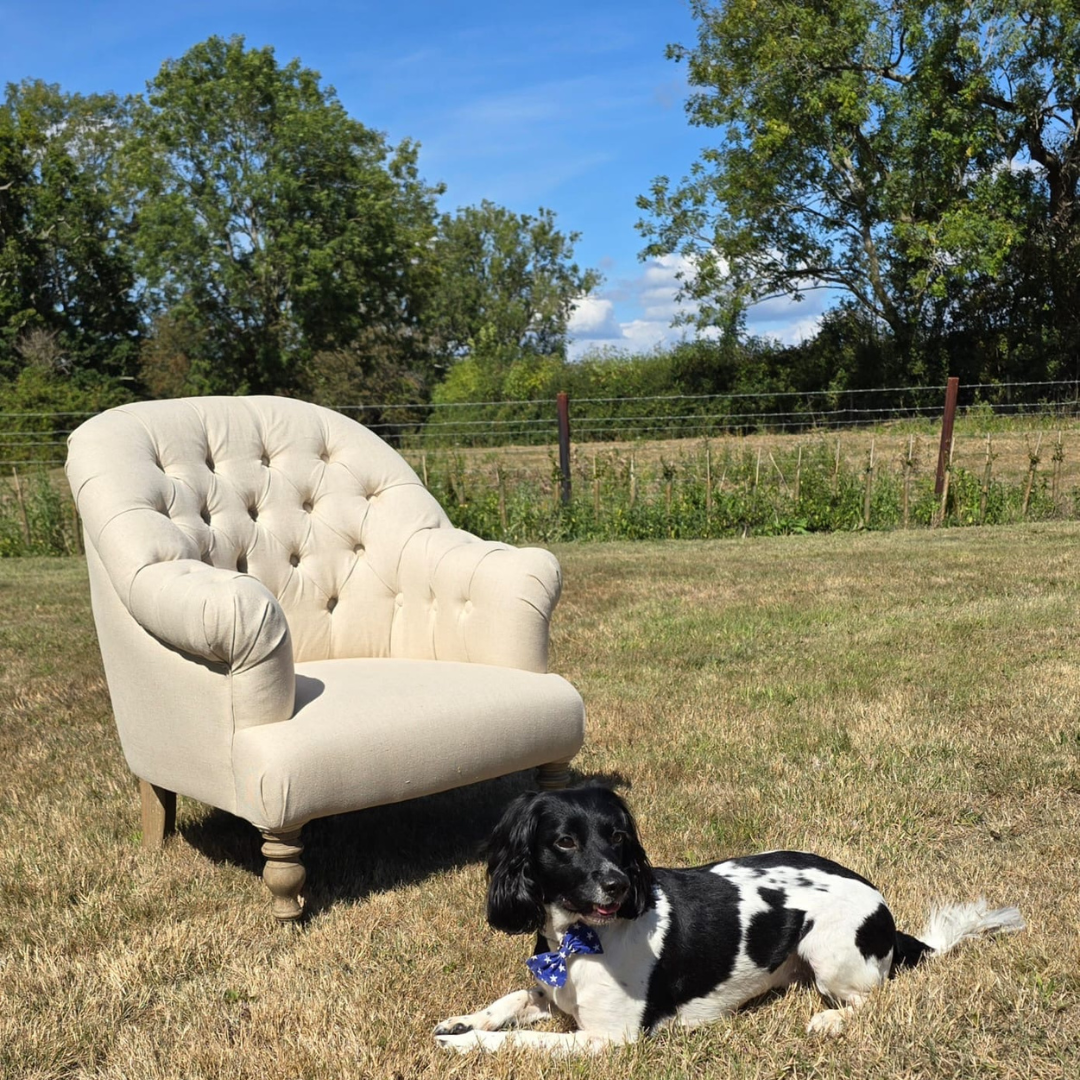 Country Home Button Armchair with Castors